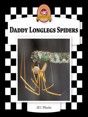 cover image of Daddy Longlegs Spiders